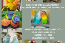 Affiche expo