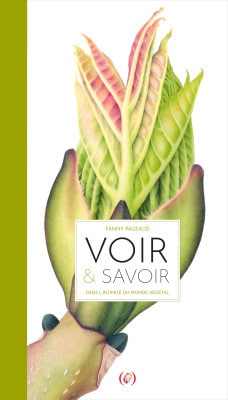 PARENTHESE DU (MARDI) Rencontre avec l’auteure-illustratrice, Fanny Pageaud, en résidence chez éclat de lire_Manosque