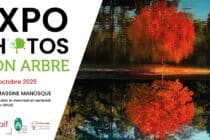 Exposition de photos : Mon arbre