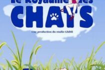 Club manga + Projection du royaume des chats_Manosque
