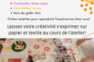 Atelier teinture végétale