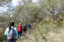 Balade « À la découverte des trésors cachés du site de la Thomassine »_Manosque