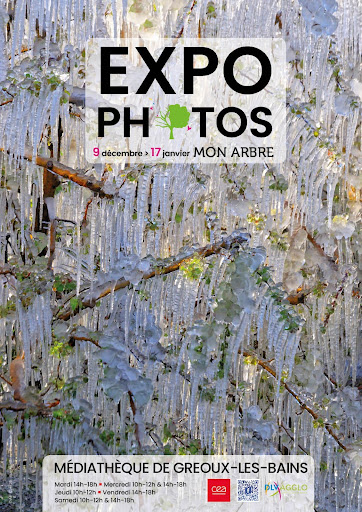 Mon Arbre, exposition de photographies_Gréoux-les-Bains