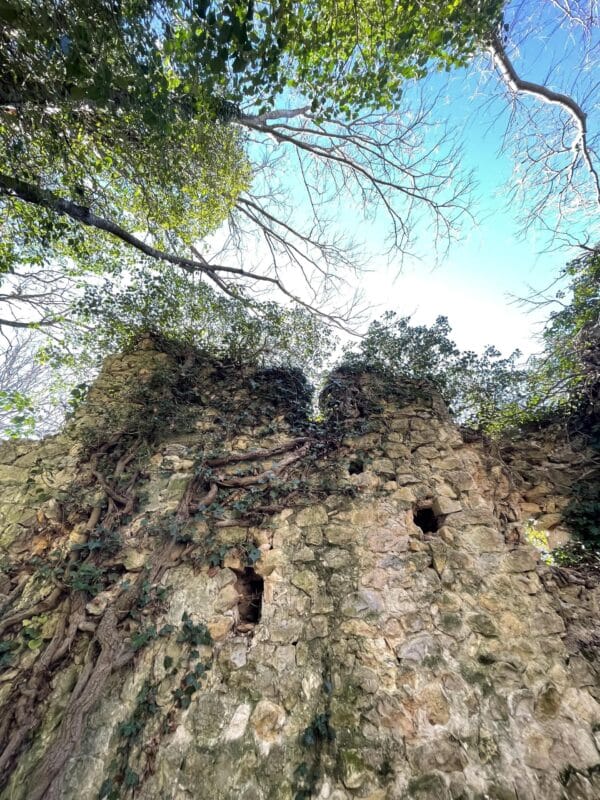 Une chapelle au bord du ravin : comment réparer l’avenir des ruines ?_Esparron-de-Verdon