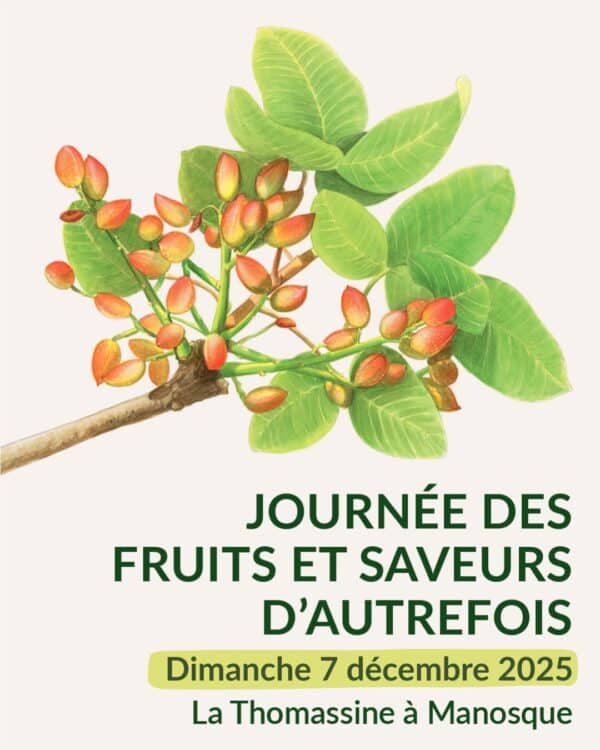Conférence "Le pistachier, un arbre d'avenir"_Manosque