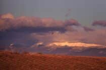 Les expos du château 2025 – le mois de la photo : novembre_Gréoux-les-Bains