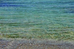 Les Expos du Château - juin_Gréoux-les-Bains