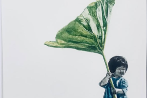 Les Expos du Château - septembre_Gréoux-les-Bains