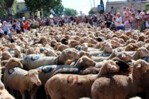 Fête de la transhumance