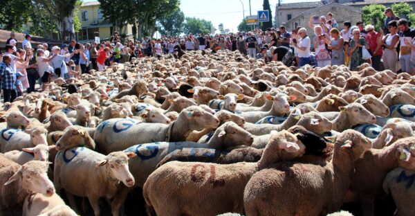 Fête de la transhumance
