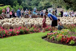 Fête de la transhumance