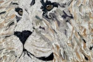 Exposition de mai 2026