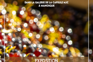 Exposition photo « Provence en grappes »