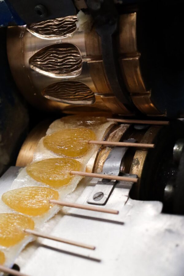 Visite d'usine Apior : fabrication de bonbons au miel_Valensole