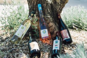 Domaine de la Blaque_Pierrevert