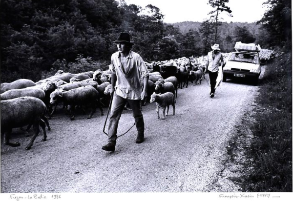 Exposition La Transhumance_Oraison