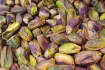 Maison de la pistache_Valensole