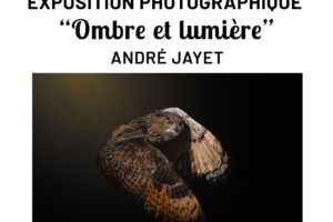 Expo « Ombre et lumière »