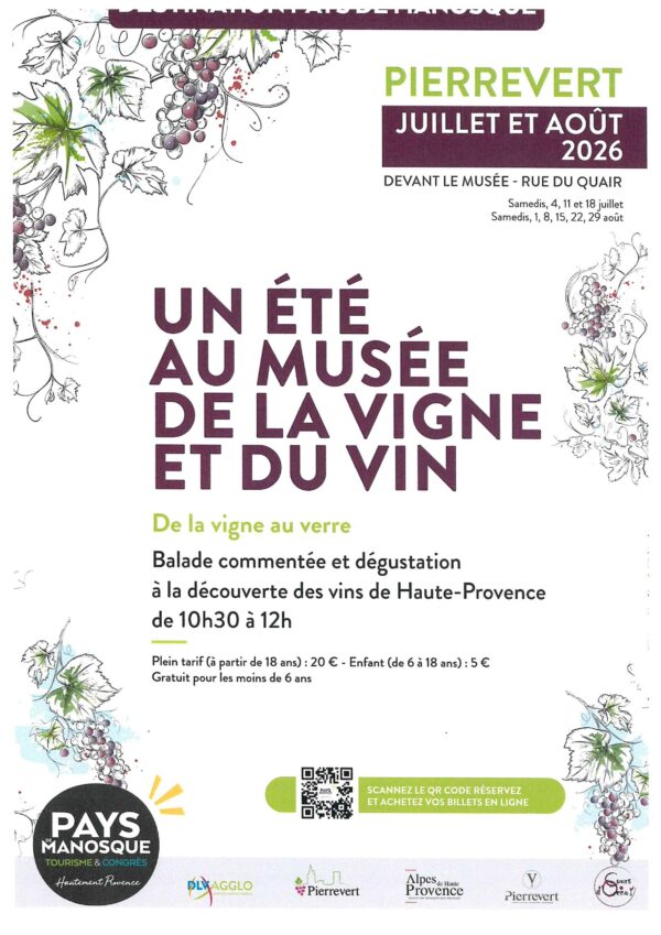 De la vigne au verre : balade et dégustation à la découverte des vins de Haute-Provence_Pierrevert