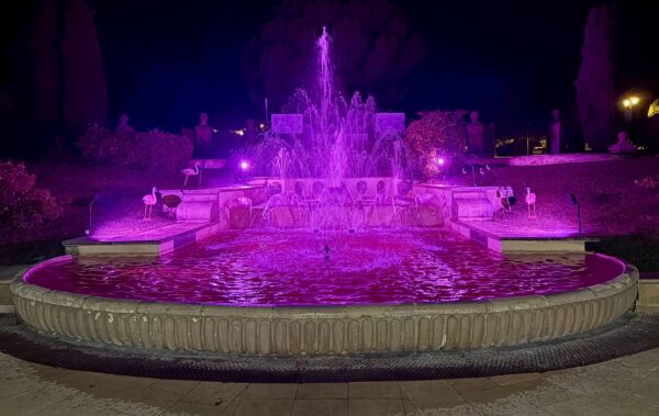 Gréoux en rose