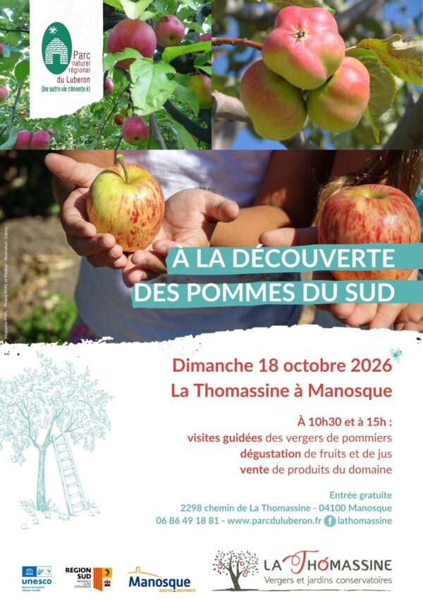 À la découverte des pommes du sud_Manosque