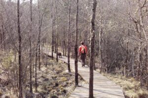 Sortie buissonnière " Forêt de Pélicier, un concentré de biodiversité"_Manosque